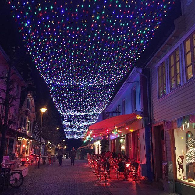 Small - Centre Lejlighed